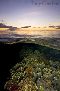 Sunset at Reef's Edge by Tony Cherbas 